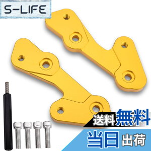 �y���������zLEDISHUN �o�b�N�X�e�b�v �A�W���X�^�[ 30mm �A�b�v 25mm �o�b�N �J���T�L ZX-25R(2020-2023) ZX-4R ZX-4RR (2023+)�ɓK�p �F�F�S�[���h