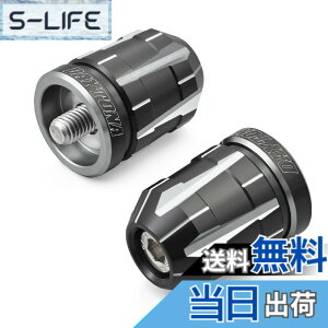 �y���������z�f�C�g�i(Daytona) PREMIUM ZONE(�v���~�A���]�[��) �o�C�N�p �o�[�G���h TECHNO/BRICK/KIRIKO/�X�N���b�` �F�F�A�b�V���V���o�[�A�T�C�Y�F�J���T�L(M8)