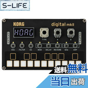 �y���������zKorg Synth Parent 2024 �F�F�u���b�N�A�T�C�Y�FNTS1DIGITAL2