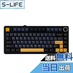 �y���������zEPOMAKER x Aula F75 �Q�[�~���O�L�[�{�[�h �K�X�P�b�g ���J�j�J���L�[�{�[�h 5�w�p�b�h���m�u�t�� 75% ���C�����X �z�b�g�X���b�p�u�� Bluetooth/2.4GHz/USB-C RGB �Z�K�F�؎擾 �F�F�u���b