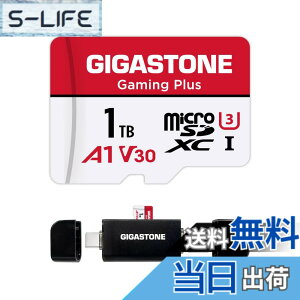 �y���������zGIGASTONE �}�C�N��sd�J�[�h 1TB-2-1 Core Group �F�F1TB Gaming Plus 1��+Type C�J�[�h���[�_�[�A�T�C�Y�F1TB