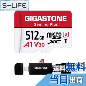 �y���������zGIGASTONE �}�C�N��sd�J�[�h 512-2-1 Core Group-Redwhite �F�F512GB Gaming Plus 1��+Type C�J�[�h���[�_�[�A�T�C�Y�F512GB