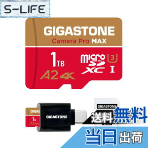 �y���������zGIGASTONE �}�C�N��sd�J�[�hGoldRed GP 1 �F�F1TB Camera Pro MAX 1��+Type C�J�[�h���[�_�[�A�T�C�Y�F1TB Camera Pro MAX 1��+Type C�J�[�h���[�_�[