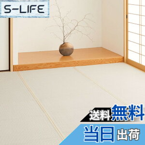 �y���������z���� �􂦂� �������J�[�y�b�g �l�� �F�F�O���[�A�T�C�Y�F277 x 370 cm (�����`)