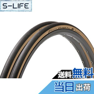 �y���������z�y���ʔŁz2�{�Z�b�g �p�i���[�T�[(Panaracer) �N���[�U�[�v���X CLOSER PLUS 700x25C �N�����`���[ ��/�A���o�[ F725-CLSP-LX-2P �F�F�A���o�[�A�T�C�Y�F700x25C (25-622)