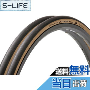�y���������z�y���ʔŁz2�{�Z�b�g �p�i���[�T�[(Panaracer) �N���[�U�[�v���X CLOSER PLUS 700x28C �N�����`���[ ��/�A���o�[ F728-CLSP-LX-2P �F�F�A���o�[�A�T�C�Y�F700x28C (28-622)