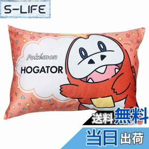 �y���������zMORIPiLO ���J�o�[ 43x63cm �܂��� �����V�^ �F�F�z�Q�[�^�A�T�C�Y�F43x63cm