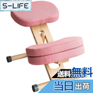 �y���������z�v���|�[�V�����`�F�A �W���͂����܂�֎q �p���T�|�[�g �⏕�N�b�V�����t �F�F�s���N�A�T�C�Y�FCH-N889CK