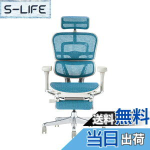 �y���������z�G���S�q���[�}��2(Ergohuman2) �I�t�B�X�`�F�A �F�F�t���[��:GRAY / ���b�V��:BLUE�A�T�C�Y�F�n�C�^�C�v�E�I�b�g�}������