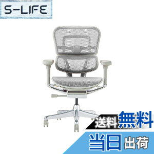 �y���������z�G���S�q���[�}��2(Ergohuman2) �I�t�B�X�`�F�A �F�F�t���[��:GRAY / ���b�V��:WHITE�A�T�C�Y�F���[�^�C�v