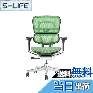 �y���������z�G���S�q���[�}��2(Ergohuman2) �I�t�B�X�`�F�A �F�F�t���[��:BLACK / ���b�V��:GREEN�A�T�C�Y�F���[�^�C�v