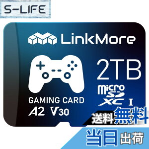 �y���������zLinkMore A1V30 / A2V30 / XV23 Pro MicroSDXC�J�[�h �T�C�Y�F2TB
