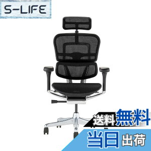 �y���������z�G���S�q���[�}��2(Ergohuman2) �I�t�B�X�`�F�A �F�F�t���[��:BLACK / ���b�V��:BLACK�A�T�C�Y�F�n�C�^�C�v
