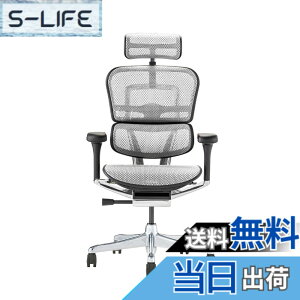 �y���������z�G���S�q���[�}��2(Ergohuman2) �I�t�B�X�`�F�A �F�F�t���[��:BLACK / ���b�V��:WHITE�A�T�C�Y�F�n�C�^�C�v