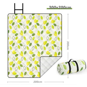 _XSi10%OFF^W[V[g W[}bg lGʗp  􂦂 200×200 h ܂肽 y RpNg 唻 C   Lv sNjbNV[g v[ sNjbN