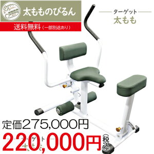 [[OK] ygς݁z ̂т (nX^[) W ItBX ^ nr  @\P g[jO}V ol Xgb` [WILD FIT Premium]