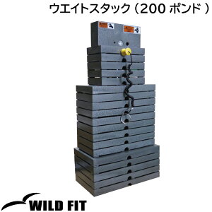 EGCgX^bN (200|h) [impulse/CpX] W  Ɩp g[jO}V tBbglX [WILD FIT Premium]