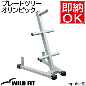 v[gc[IsbN [impulse/CpX] W  Ɩp g[jO}V bN [ [WILD FIT Premium]