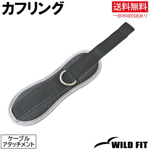 P[u^pJtO `OXց⑗ ؃g g[jO _x o[x x`vX [WILD FIT Premium]