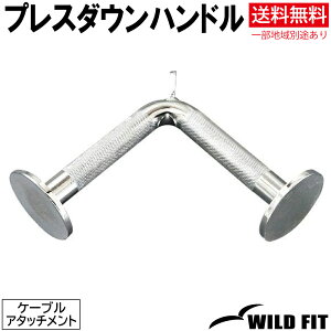 vX_Enh ؃g P[uA^b`g g[jO _x o[x x`vX [WILD FIT Premium]