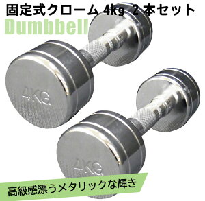 �Œ莮�N���[�� 4kg 2�{�Z�b�g�������� �_���x�� �E�G�C�g �؃g�� �g���[�j���O ���� �w�� �x���`�v���X �W�� �S�A���C [WILD FIT Premium]