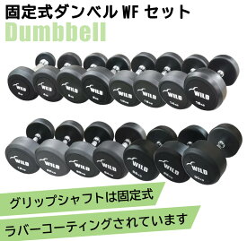 [WILD FIT Premium] 固定式ダンベルWFセット送料無料 ダンベル 30本 セット 筋トレ トレーニング 腹筋 胸筋 上腕三頭筋 ベンチプレス ジム 鉄アレイ ダイエット ラバーダンベル