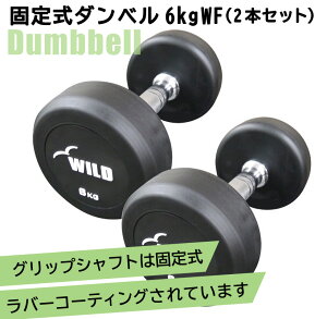 [WILD FIT Premium] �Œ莮�_���x�� 6kg WF 2�{�Z�b�g�������� ��r�O���� �E�G�C�g �؃g�� �g���[�j���O �W���_���x�� �x���`�v���X �W�� �S�A���C
