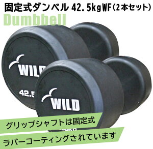[WILD FIT Premium] �Œ莮�_���x�� 42.5kg WF 2�{�Z�b�g�������� �W�� �_���x�� �E�G�C�g �؃g�� �g���[�j���O ���� �x���`�v���X �W�� �S�A���C