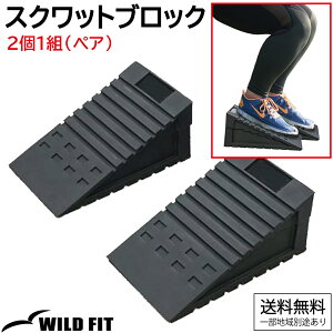 XNbgubN 21g(yA)XNbgEFbW Xgb` XNbg  ӂ͂ ΂ tH[ ] [WILD FIT Premium]