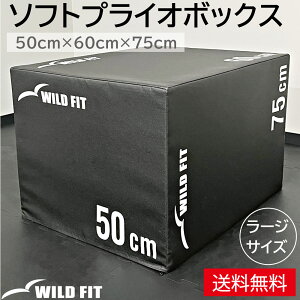 \tgvCI{bNX [W Wv{bNX u g[jO ̊ Wv ~ Xebv є 3in1 g[jO  Z [WILD FIT Premium]