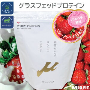 -up zGCveC100 WPC Xgx[ 1kgOXtFbh [-up(~[Abv)V[Y]    ؃g g[jO  VFCJ[ [WILD FIT Premium]