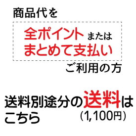 送料1,100円