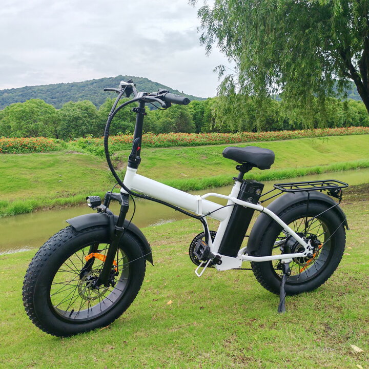 楽天市場】自転車 電動自転車 車 電動アシスト自転車 20 インチ スノー 