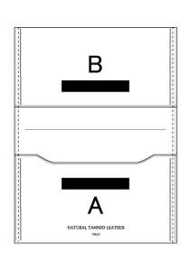 - yziiʔj BT l[J[hP[Xpi[10-14cƓj