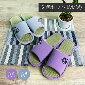 y2Zbgz_gt[XbpMMZbg hJ Xbp [V[Y p Xbp gCXbp 􂦂 \tg^Cv  g c[  đf fɐS