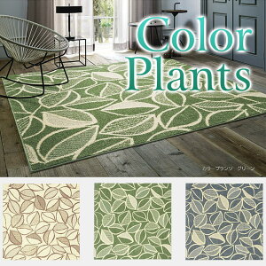yX~mGz COLOR PLANTS J[vc 190cm×240cm@O J[ybg O}bg k rug LH gvtbV h_j Vііh~ {
