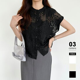 【8/15！クーポンで2,610円】 レース シャツ トップス シアー ブラウス 刺繍 シアーシャツ シアーブラウス シャツブラウス シアーレースシャツ バンドカラー 半袖 レディース フレンチスリーブ シアージャガード 柄 オフィスカジュアル おしゃれ 春夏 春 夏 cocomomo