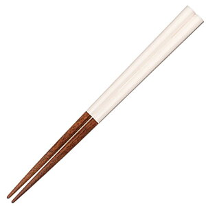 Tj[CtfUC ዷh  q ǂ H@Ή VR 18cm jp p {