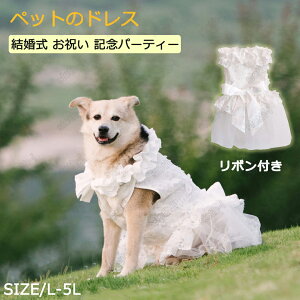 uTv  EGfBOhX ybg̃hX ^ ^ ^ ̂PlXJ[g    ؂₩ Pl vZX  j LOp[eB[ ^ v