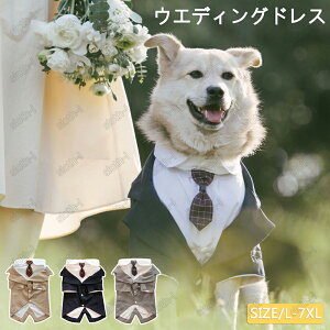  EGfBOhX ybg̃hX lN^Ct ^ ^ ^ hbOX[c    ؂₩ LOʐ^   j LOp[eB[ ^ v[g 