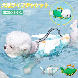 pCtWPbg q̐ pXC~OxXg pEH[^[xXg  ₷ j~ Vїp ~ ̈S ی j̗Kpi ^ ^ 