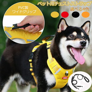 pxXg ybg[V xXgq n[lX h  n[lX ybg^ ̃TCY [vt oh~ XS~XL 4FIł p n[lX  h~