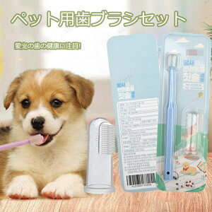 ybgpuV Ԃ炵  ybg p L uV ݂  ybgp f^PA 炩 ybg R L S ^ ybgpi ybgObY ybguV 