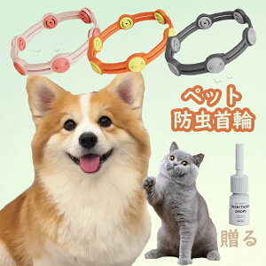 ybgh VR A p Lp 悯 m~ 悯 m~ m~ 񐶒悯 h S ybg  Lp p h EȒP SobN y 