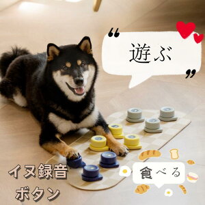 p ^{^ b{^ {^ ybg{^ @\|[^u obe[t {CXR[_[ P LybgPp b{^ VRS}bg ybg m ߋ ƒ