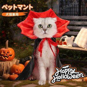 nEB ybgpi }g  L t@bV L RX`[ ϑ   ؂₩ j LOp[eB[ ^ v[g ybg L  hbOE