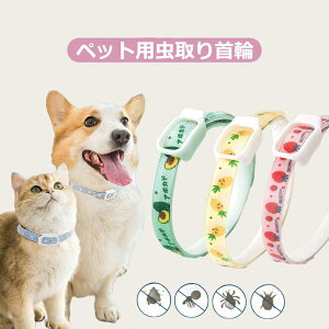 ybgh VR A p Lp 悯 m~ 悯 m~ m~ 񐶒悯 h S ybg  Lp p h EȒP SobN y 