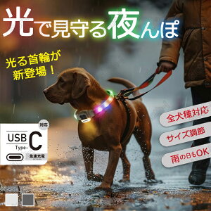 yX[p[SALEz ybg h TCY߉\ Type-cP[u IP4h 6F؂ւ\ TCY LEDCg UpCg VR y C{[  S U  