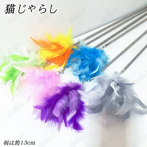 Lp炵  L炵 LkXeBbN^Cvt t H O ފƂ炵 ˂炵 ^s XgXU LbggC Zbg v[g  L̂