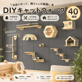 新品発売 キャットウォーク 壁掛け キャットタワー 有孔ボード 壁掛け式猫用ステップ 壁面 棚 DIY 壁 天然木 壁掛け猫クライマーセット 猫用 カスタム猫壁 猫家具 キャットステップ 猫棚 猫ハウス 木製 多孔ボード 爪とぎポール 壁付け 遊び場 ストレス解消 取り付け簡単